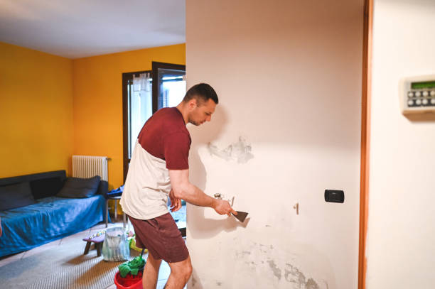 Best Water Damage Restoration  in Brandywine, MD